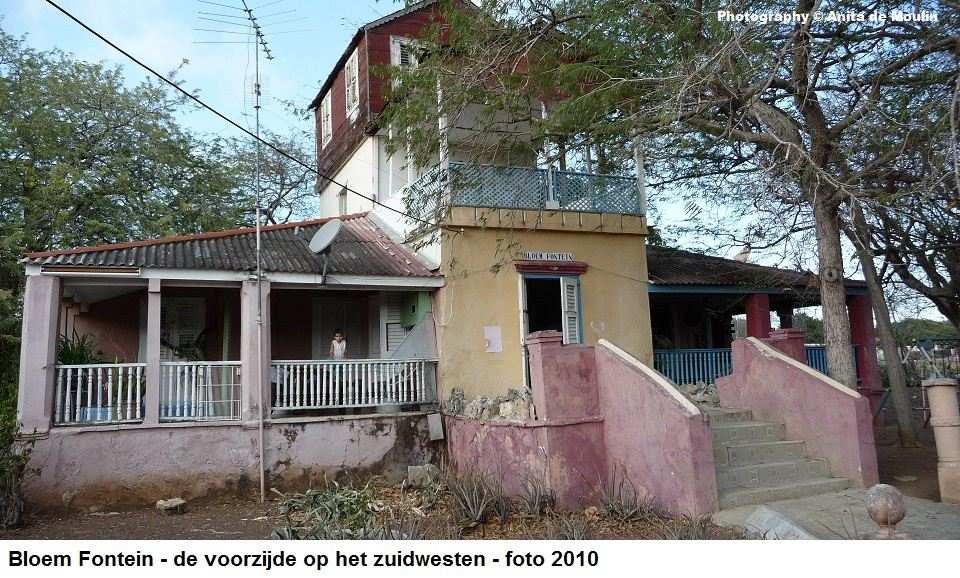 13. Bloem Fontein voorzijde op het zuidwesten 2010